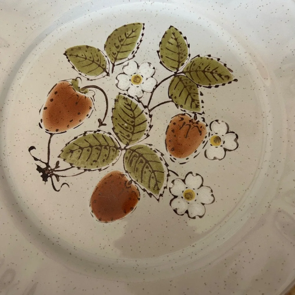 Americana Hearthside Berries n Cream Dinner Plates Set of 4 Stoneware Japan 10.5